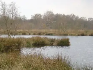 Onderzoekers: bij de landbouwtransitie betalen boeren eerst, de samenleving krijgt de baten